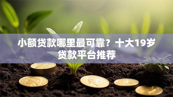 小额贷款哪里最可靠？十大19岁贷款平台推荐