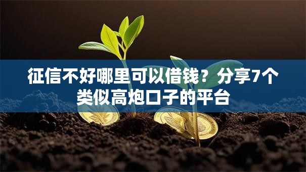 征信不好哪里可以借钱?分享7个类似高炮口子的平台 征信不好哪里可以借钱?分享7个类似高炮口子的平台