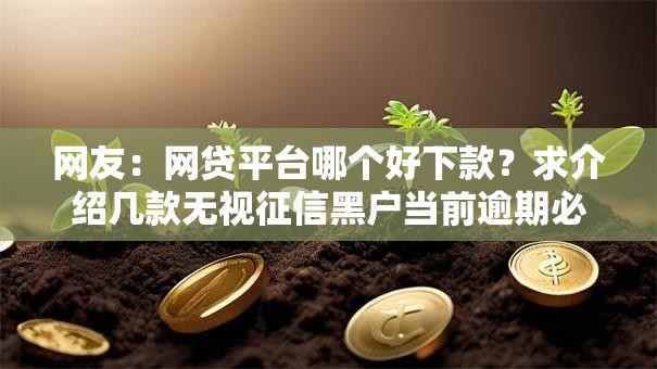 网友：网贷平台哪个好下款？求介绍几款无视征信黑户当前逾期必下款的口子
