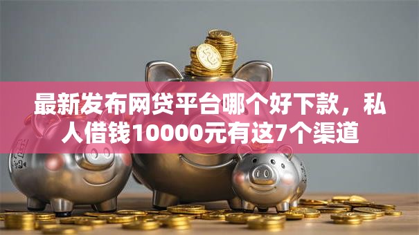 最新发布网贷平台哪个好下款，私人借钱10000元有这7个渠道