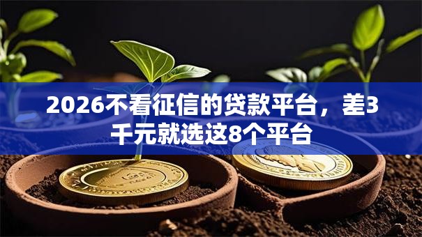 2026不看征信的贷款平台,差3千元就选这8个平台 2026不看征信的贷款平台,差3千元就选这8个平台
