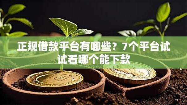 正规借款平台有哪些？7个平台试试看哪个能下款