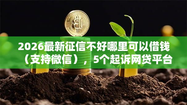 2026最新征信不好哪里可以借钱（支持微信），5个起诉网贷平台无私分享