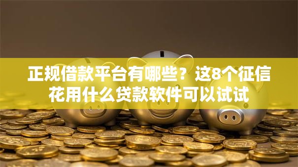 正规借款平台有哪些?这8个征信花用什么贷款软件可以试试 正规借款平台有哪些?这8个征信花用什么贷款软件可以试试