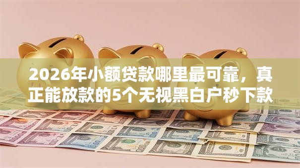 2026年小额贷款哪里最可靠，真正能放款的5个无视黑白户秒下款口子平台推荐