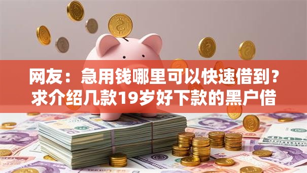 网友：急用钱哪里可以快速借到？求介绍几款19岁好下款的黑户借钱平台