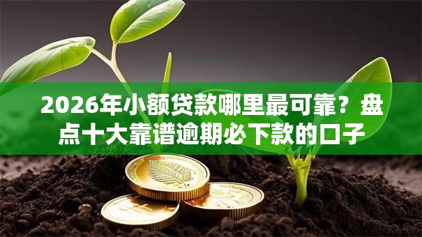 2026年小额贷款哪里最可靠?盘点十大靠谱逾期必下款的口子 2026年小额贷款哪里最可靠?盘点十大靠谱逾期必下款的口子