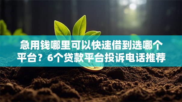 急用钱哪里可以快速借到选哪个平台？6个贷款平台投诉电话推荐
