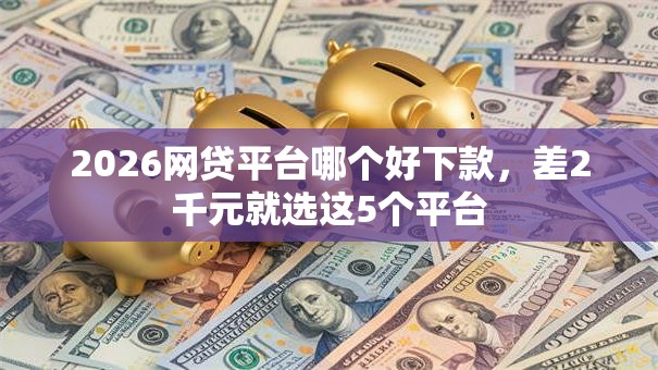 2026网贷平台哪个好下款，差2千元就选这5个平台