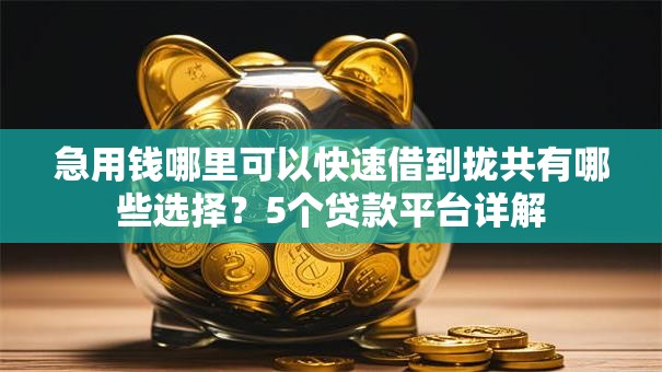 急用钱哪里可以快速借到拢共有哪些选择?5个贷款平台详解 急用钱哪里可以快速借到拢共有哪些选择?5个贷款平台详解