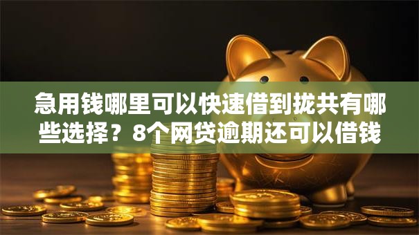 急用钱哪里可以快速借到拢共有哪些选择?8个网贷逾期还可以借钱的口子详解 急用钱哪里可以快速借到拢共有哪些选择?8个网贷逾期还可以借钱的口子详解