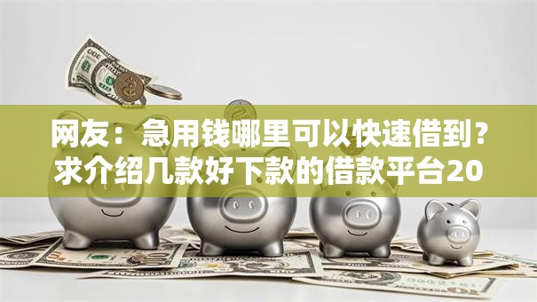 网友:急用钱哪里可以快速借到?求介绍几款好下款的借款平台2025 网友:急用钱哪里可以快速借到?求介绍几款好下款的借款平台2025