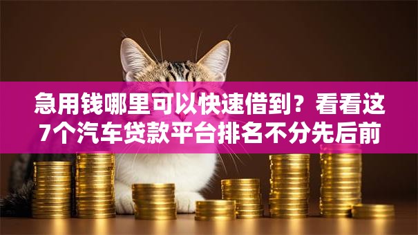 急用钱哪里可以快速借到?看看这7个汽车贷款平台排名不分先后前十怎么样 急用钱哪里可以快速借到?看看这7个汽车贷款平台排名不分先后前十怎么样