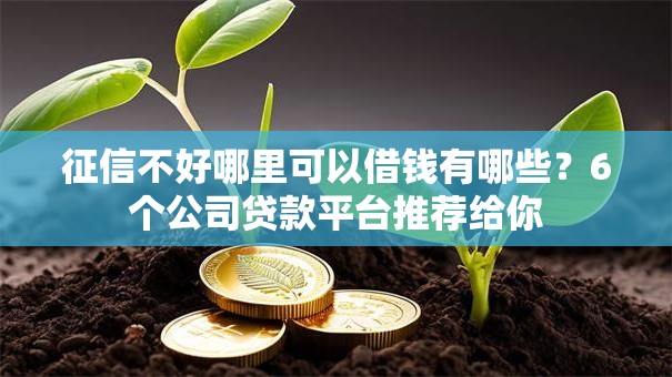 征信不好哪里可以借钱有哪些？6个公司贷款平台推荐给你