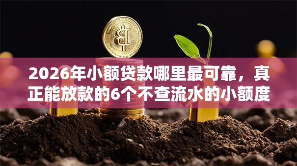 2026年小额贷款哪里最可靠，真正能放款的6个不查流水的小额度贷款平台推荐