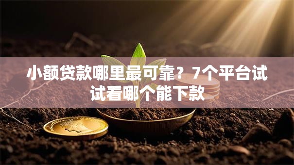 小额贷款哪里最可靠？7个平台试试看哪个能下款