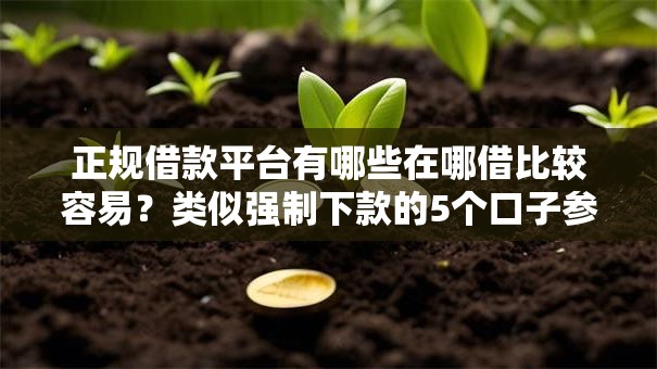 正规借款平台有哪些在哪借比较容易？类似强制下款的5个口子参考