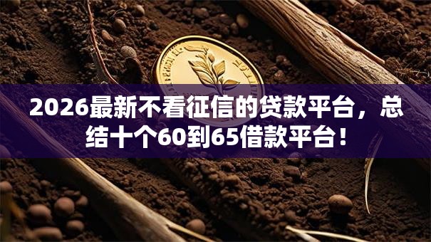 2026最新不看征信的贷款平台，总结十个60到65借款平台！