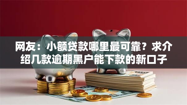 网友：小额贷款哪里最可靠？求介绍几款逾期黑户能下款的新口子