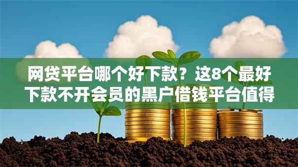 网贷平台哪个好下款?这8个最好下款不开会员的黑户借钱平台值得一试 网贷平台哪个好下款?这8个最好下款不开会员的黑户借钱平台值得一试