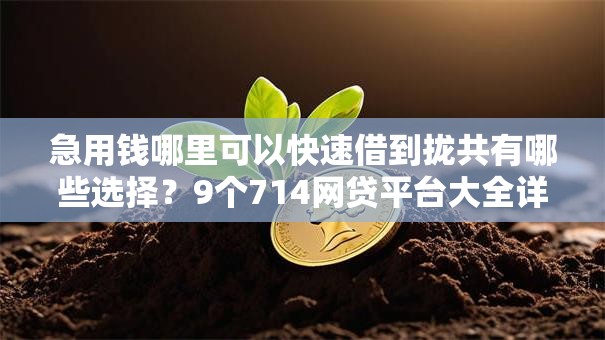 急用钱哪里可以快速借到拢共有哪些选择？9个714网贷平台大全详解