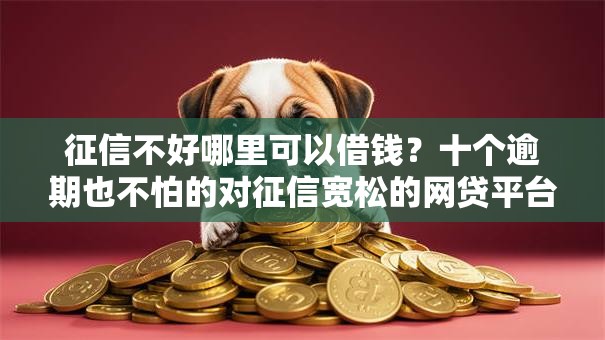 征信不好哪里可以借钱？十个逾期也不怕的对征信宽松的网贷平台