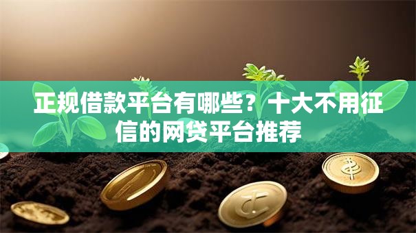 正规借款平台有哪些？十大不用征信的网贷平台推荐