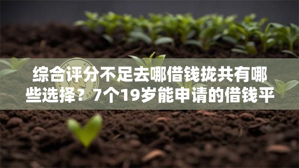 综合评分不足去哪借钱拢共有哪些选择?7个19岁能申请的借钱平台详解 综合评分不足去哪借钱拢共有哪些选择?7个19岁能申请的借钱平台详解