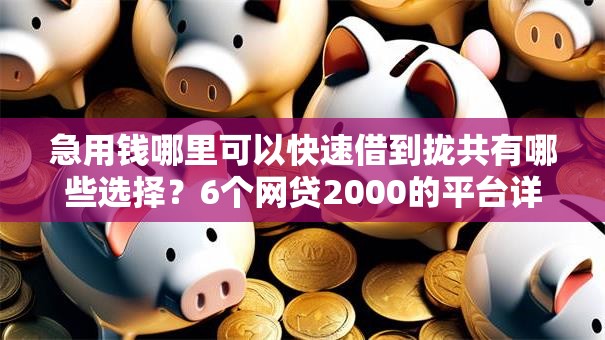 急用钱哪里可以快速借到拢共有哪些选择?6个网贷2000的平台详解 急用钱哪里可以快速借到拢共有哪些选择?6个网贷2000的平台详解