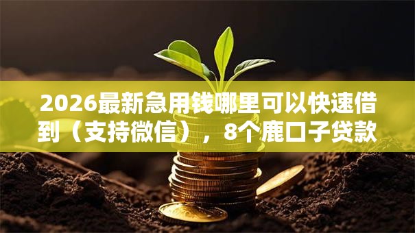 2026最新急用钱哪里可以快速借到(支持微信),8个鹿口子贷款无私分享 2026最新急用钱哪里可以快速借到(支持微信),8个鹿口子贷款无私分享