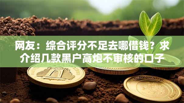 网友：综合评分不足去哪借钱？求介绍几款黑户高炮不审核的口子