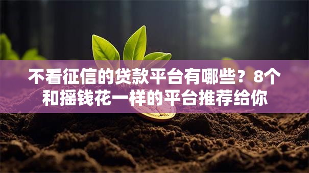 不看征信的贷款平台有哪些?8个和摇钱花一样的平台推荐给你 不看征信的贷款平台有哪些?8个和摇钱花一样的平台推荐给你