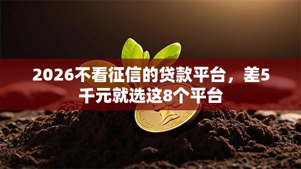 2026不看征信的贷款平台，差5千元就选这8个平台