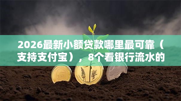 2026最新小额贷款哪里最可靠(支持支付宝),8个看银行流水的网贷软件无私分享 2026最新小额贷款哪里最可靠(支持支付宝),8个看银行流水的网贷软件无私分享