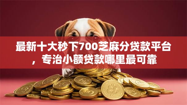 最新十大秒下700芝麻分贷款平台，专治小额贷款哪里最可靠