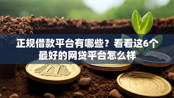 正规借款平台有哪些?看看这6个最好的网贷平台怎么样 正规借款平台有哪些?看看这6个最好的网贷平台怎么样