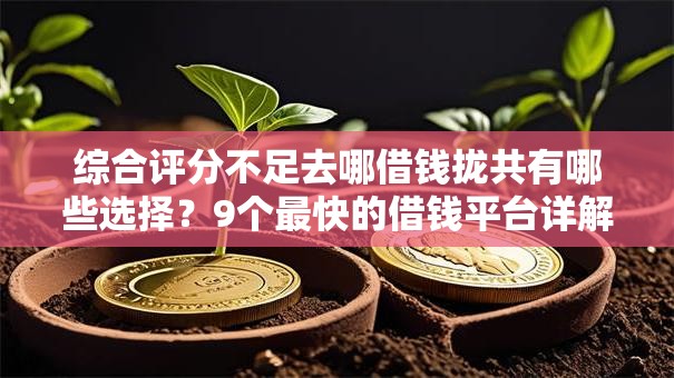 综合评分不足去哪借钱拢共有哪些选择?9个最快的借钱平台详解 综合评分不足去哪借钱拢共有哪些选择?9个最快的借钱平台详解