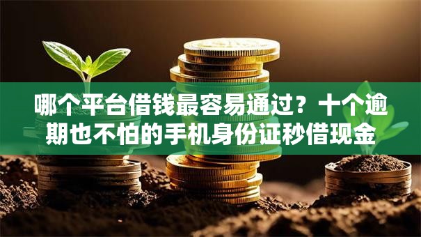 哪个平台借钱最容易通过？十个逾期也不怕的手机身份证秒借现金的平台