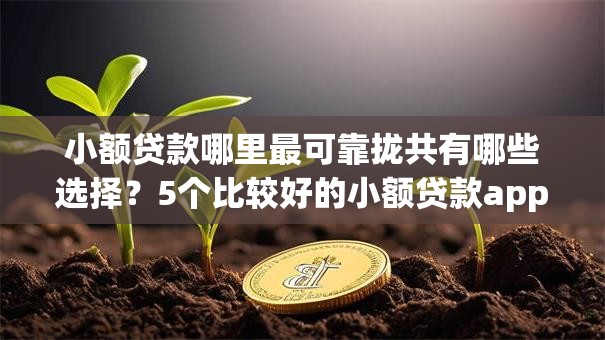 小额贷款哪里最可靠拢共有哪些选择？5个比较好的小额贷款app详解