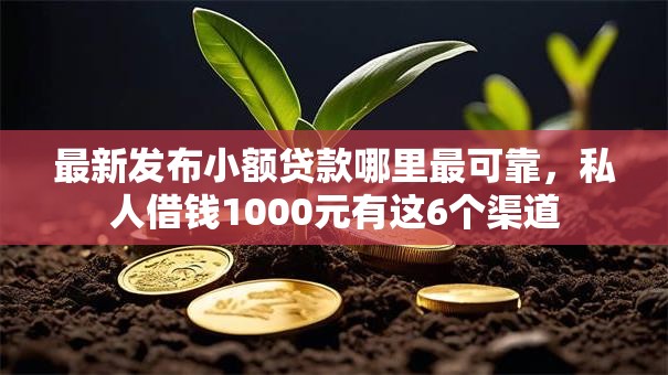 最新发布小额贷款哪里最可靠,私人借钱1000元有这6个渠道 最新发布小额贷款哪里最可靠,私人借钱1000元有这6个渠道