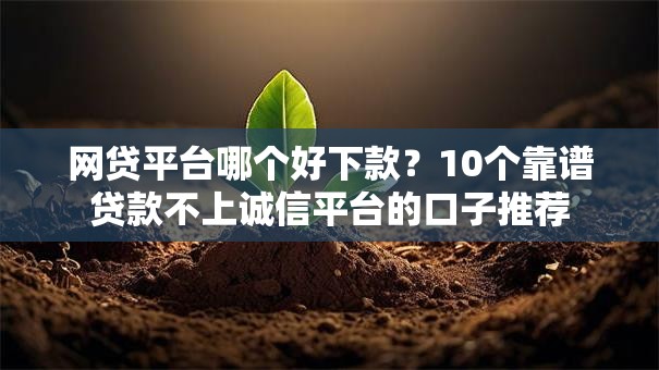 网贷平台哪个好下款?10个靠谱贷款不上诚信平台的口子推荐 网贷平台哪个好下款?10个靠谱贷款不上诚信平台的口子推荐