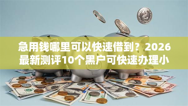 急用钱哪里可以快速借到?2026最新测评10个黑户可快速办理小额贷款业务的软件 急用钱哪里可以快速借到?2026最新测评10个黑户可快速办理小额贷款业务的软件