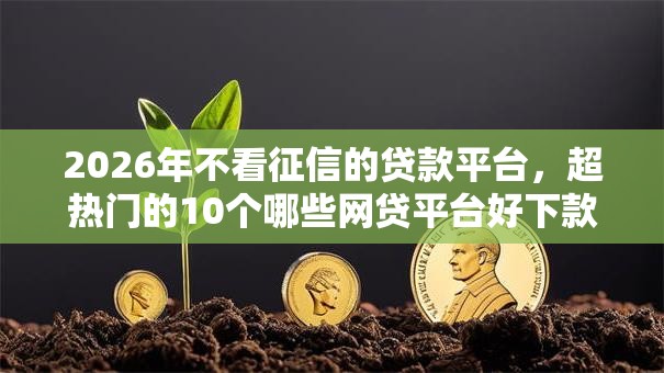 2026年不看征信的贷款平台,超热门的10个哪些网贷平台好下款推荐 2026年不看征信的贷款平台,超热门的10个哪些网贷平台好下款推荐