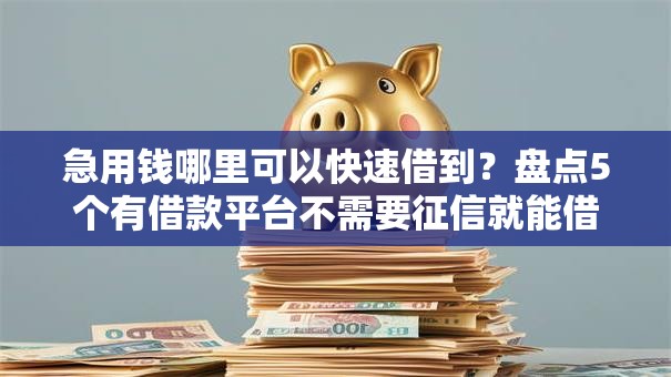 急用钱哪里可以快速借到?盘点5个有借款平台不需要征信就能借钱的给你参考 急用钱哪里可以快速借到?盘点5个有借款平台不需要征信就能借钱的给你参考