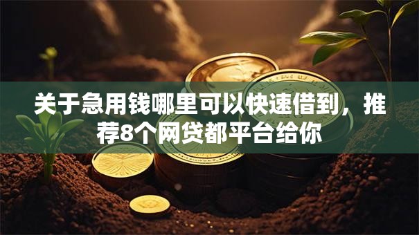 关于急用钱哪里可以快速借到,推荐8个网贷都平台给你 关于急用钱哪里可以快速借到,推荐8个网贷都平台给你