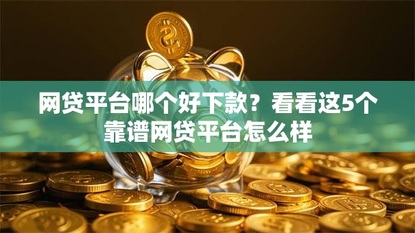 网贷平台哪个好下款？看看这5个靠谱网贷平台怎么样