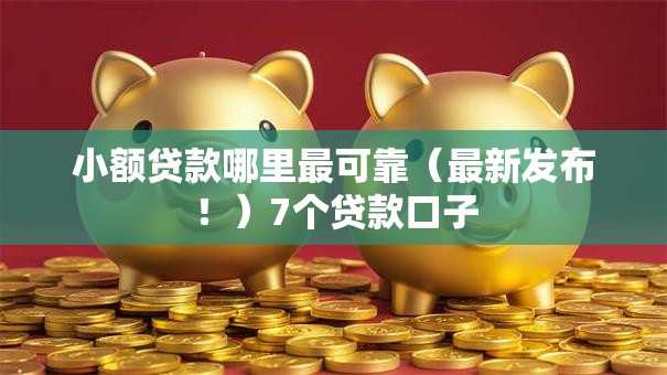 小额贷款哪里最可靠（最新发布！）7个贷款口子