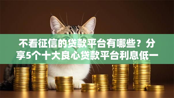 不看征信的贷款平台有哪些？分享5个十大良心贷款平台利息低一点