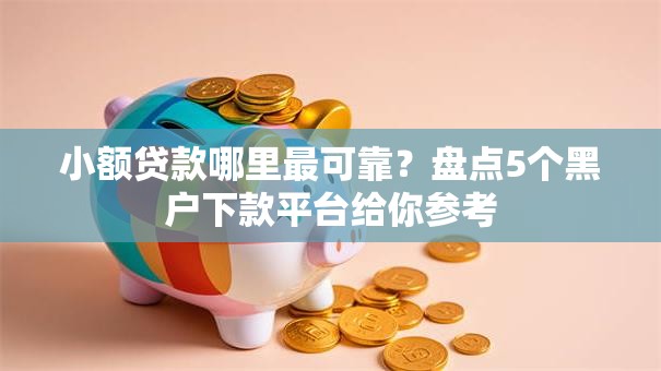 小额贷款哪里最可靠？盘点5个黑户下款平台给你参考
