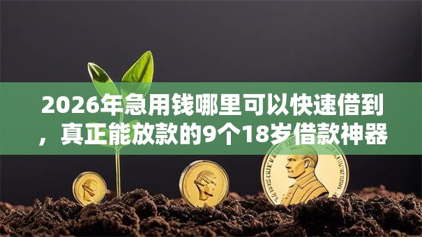 2026年急用钱哪里可以快速借到，真正能放款的9个18岁借款神器快速下款口子推荐